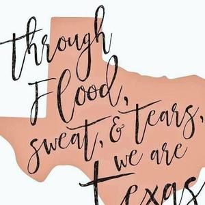 Meet your Posher, Ammy